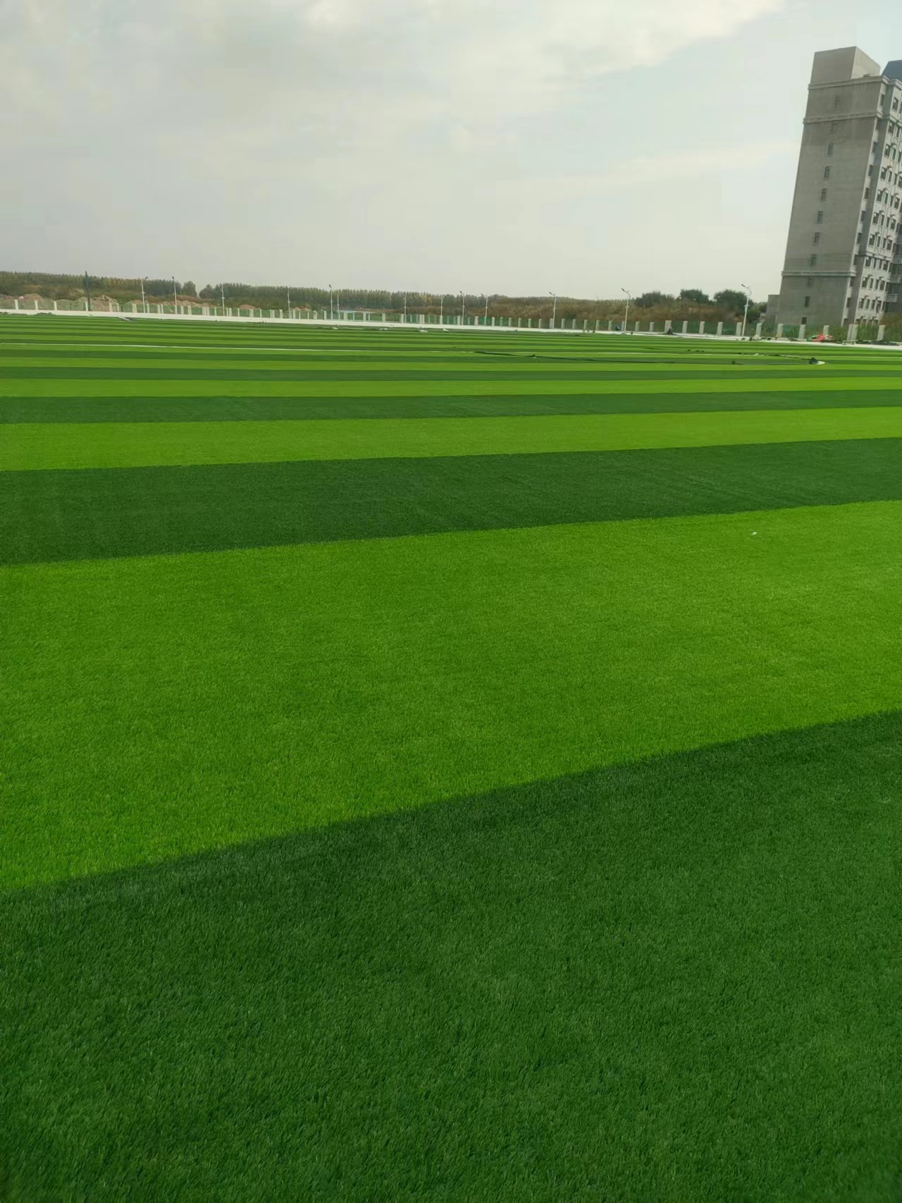 1667979527204606.jpg bfb609e9babfdea2c2418c6db5c8ed1.jpg