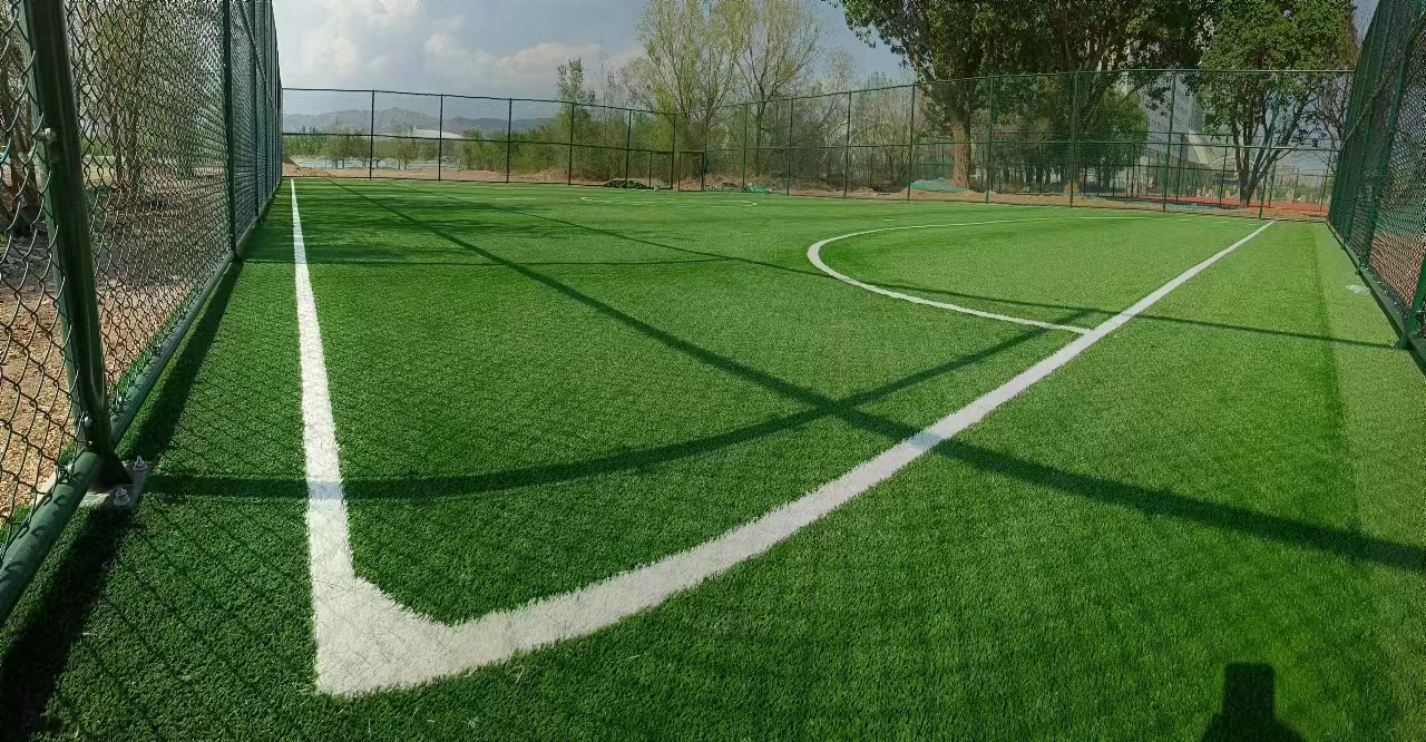 1667983385497746.jpg 4c0601f22d6ed0fdf060b454a38702b.jpg